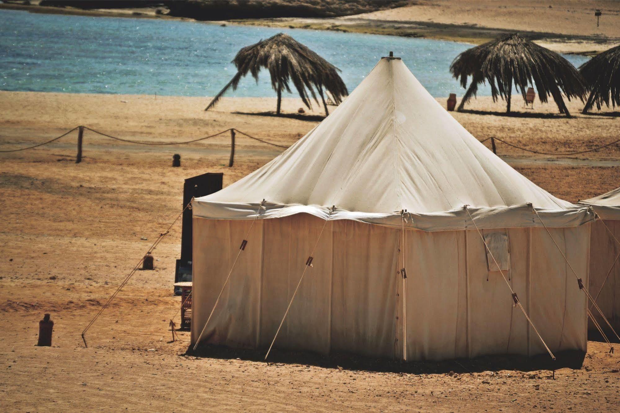 Marsa Nakari Village Marsa Alem Dış mekan fotoğraf